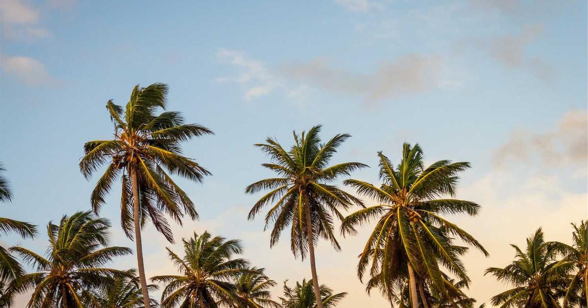 ホームページ運用は内製と外注どちらが得か｜判断基準と失敗しない選び方