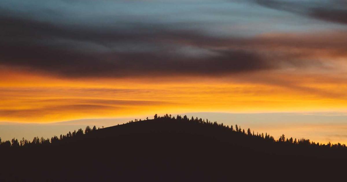 Web制作会社の補助金申請サポート｜ミアキスの支援内容