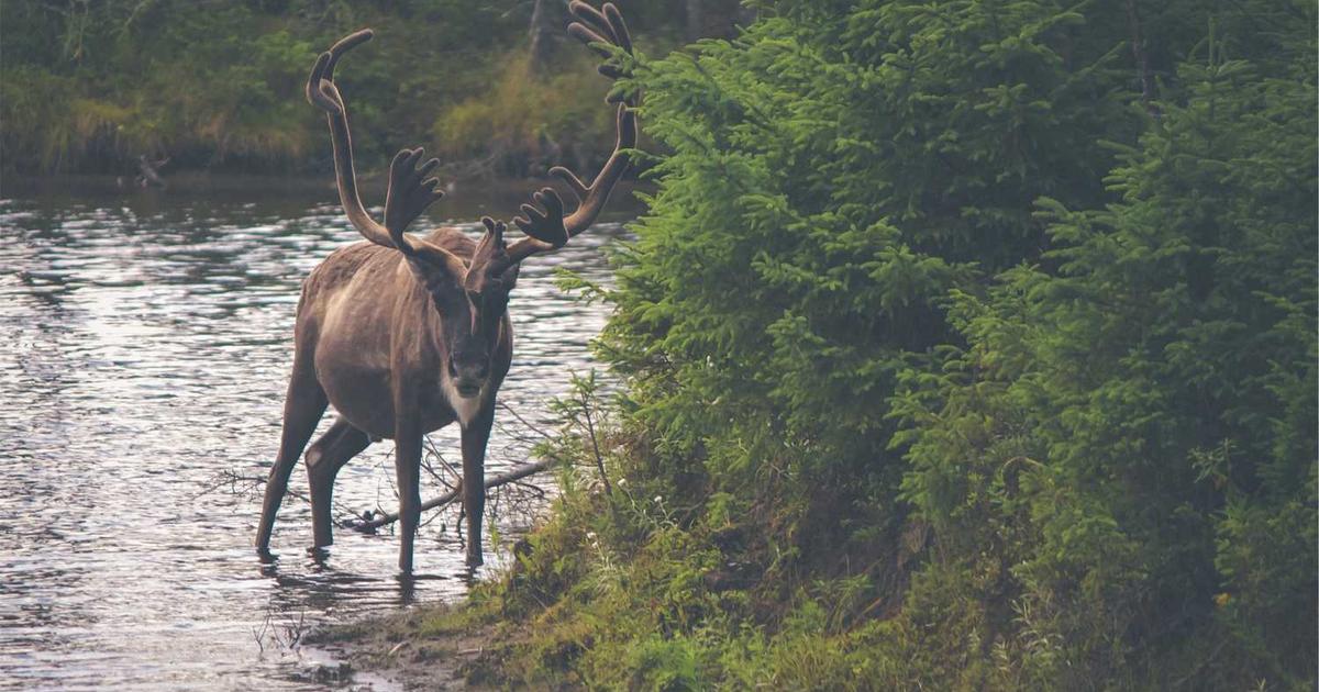 Googleアナリティクスの基本的な見方と活用法｜初心者でも今日から使える