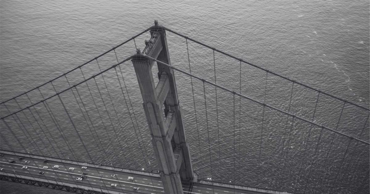 SEOは継続が命！長期的な支援が必要な理由