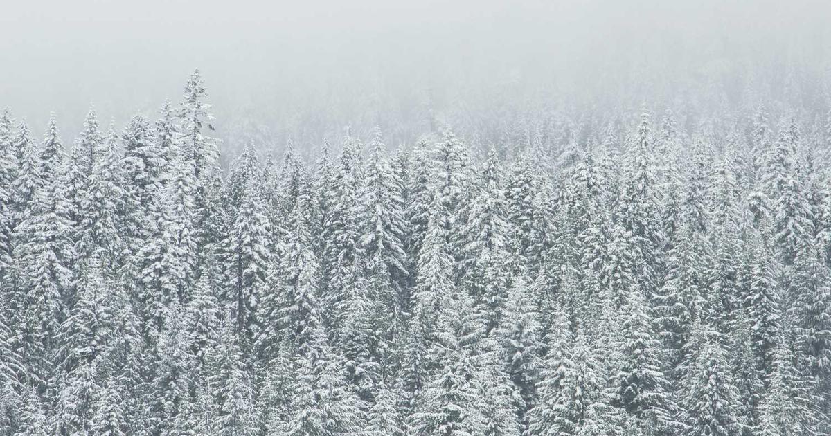 放置されたWebサイトに潜む5つのリスク｜埼玉県戸田市のWeb制作会社