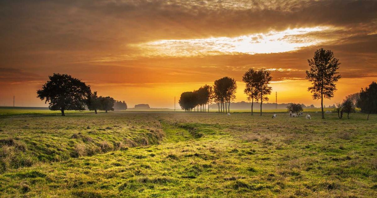 Web担当者がいない会社の外注活用術