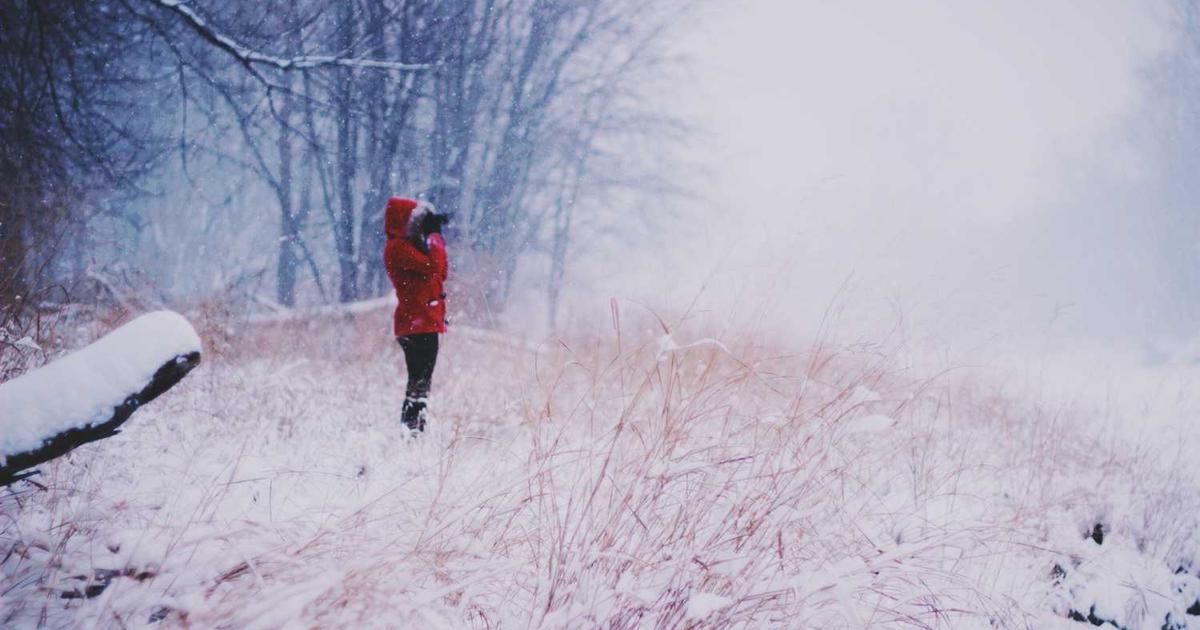 中小企業のホームページに必要なコンテンツとは？成果を出す7つの要素