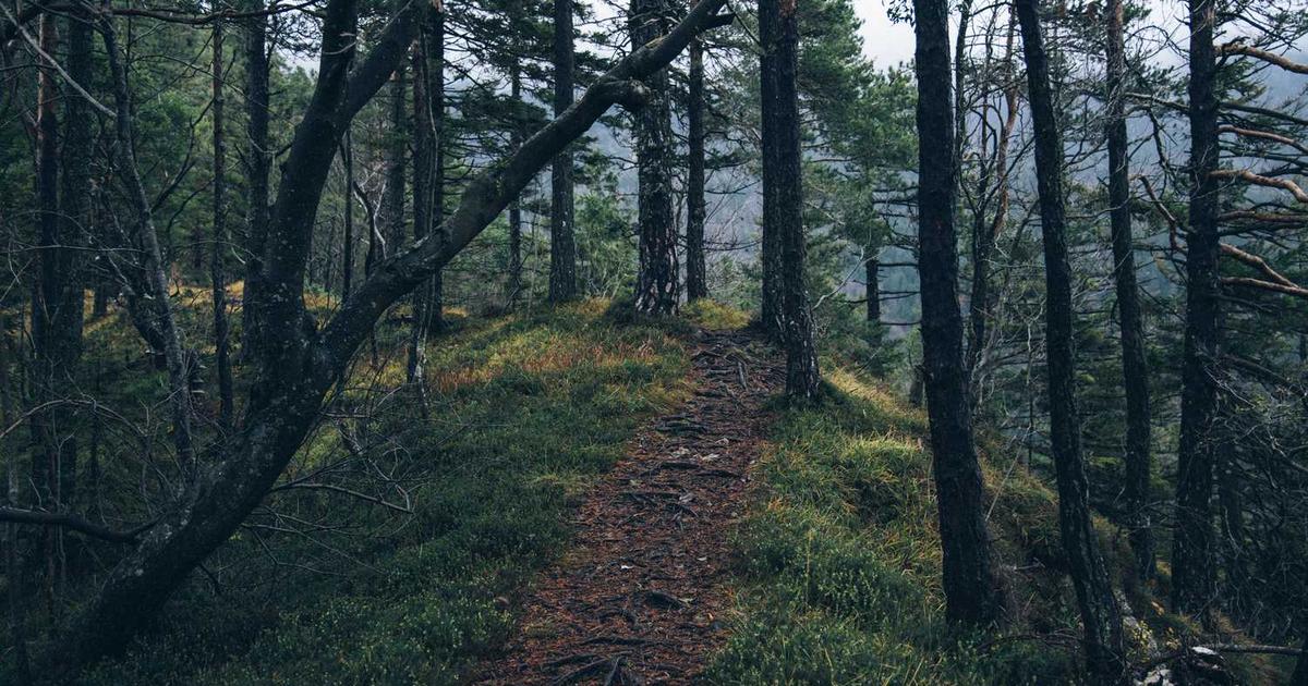 サイト更新代行サービスの選び方と費用｜任せて安心の3つのポイント