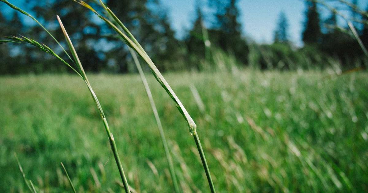 ホームページが更新できない時の原因と解決策