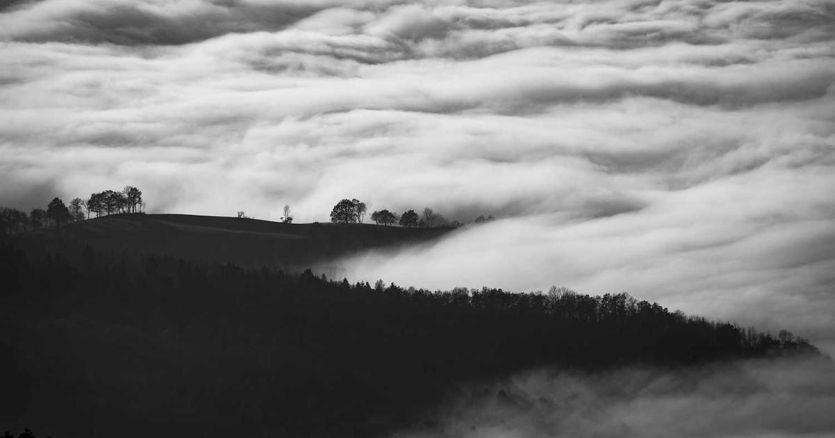 作りっぱなしのホームページが招くリスクとは