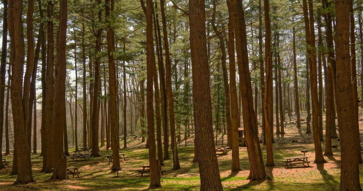 埼玉の企業がランディングページで成果を出すコツ