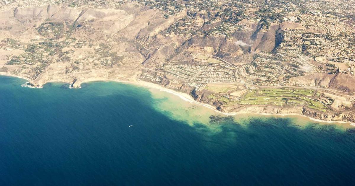 ホームページの更新頻度はどのくらいが適切か