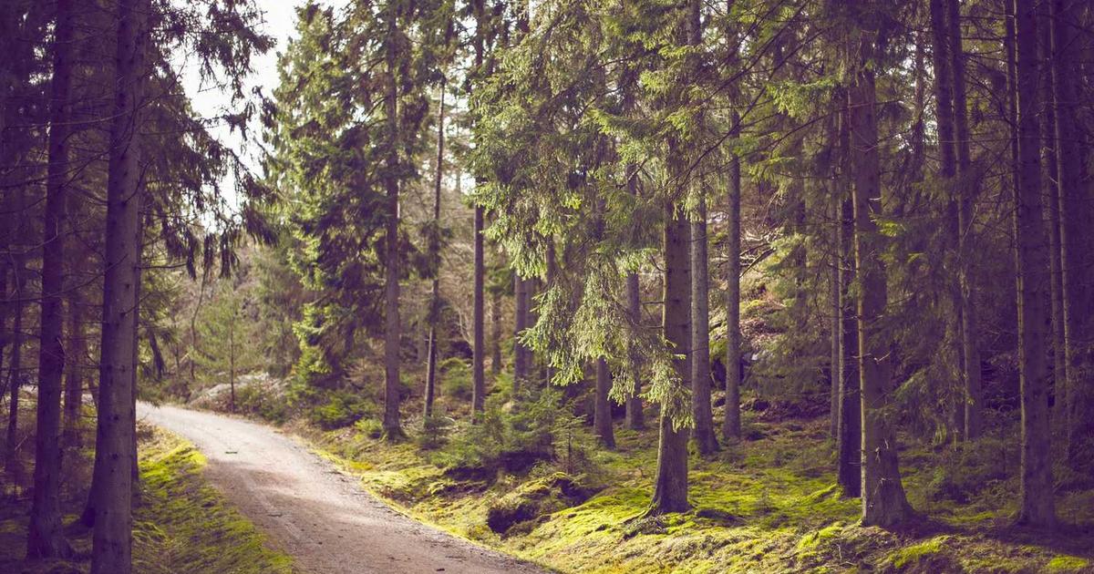 SSL証明書の更新を忘れるとどうなる？対策を解説