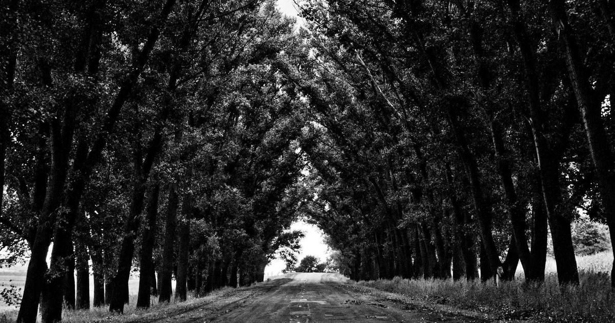 コンテンツ更新がSEOに与える影響