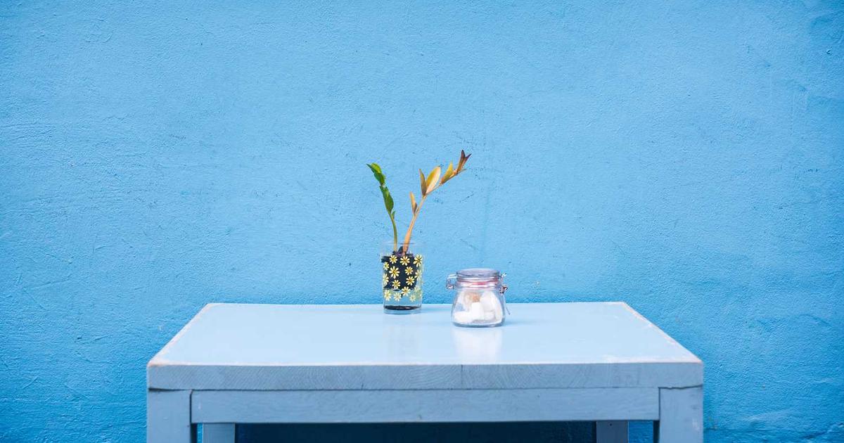 プラグイン更新で起きるトラブルと予防策